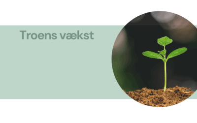 Kristendomskursus – efterår 2025